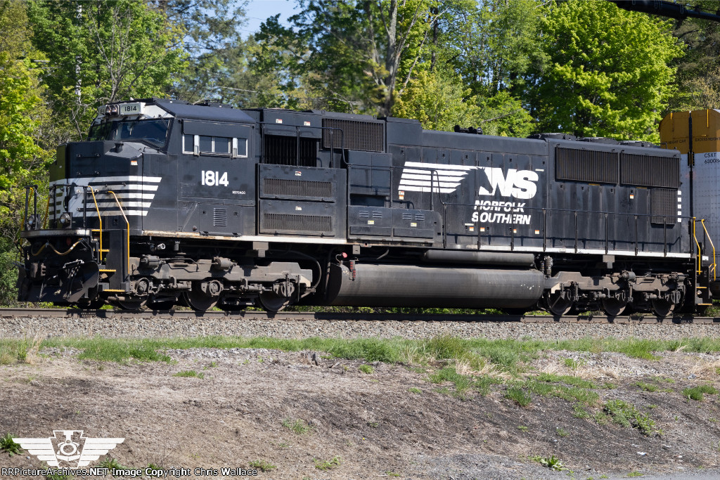 NS 1814